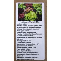 6 Degrees East Heirloom Veg Seeds - Lettuce - Variety Mix